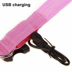 Yskaze Led Dog Collar Battery Operated Rend Votre Chien Visible En Toute Sécurité Et Vu 9 Yskaze Led Dog Collar Battery Operated Rend Votre Chien Visible En Toute Sécurité Et Vu -nourriture pour chien boutique 195649734 max