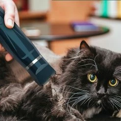 Sxbd 2 En 1 Pet Nail Grinder 2 Vitesses Dog Nail Trimmmer Low Noise USB Rechargeable Paws Grooming & Trimming Pour Grande Race Petite Chiens Moyens Chats Avec Dog Gro 7 Sxbd 2 En 1 Pet Nail Grinder 2 Vitesses Dog Nail Trimmmer Low Noise USB Rechargeable Paws Grooming & Trimming Pour Grande Race Petite Chiens Moyens Chats Avec Dog Gro -nourriture pour chien boutique 198927106 max