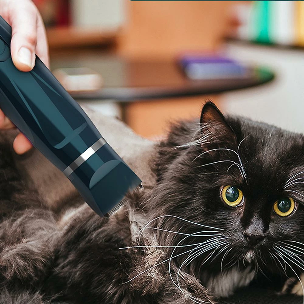 Sxbd 2 En 1 Pet Nail Grinder 2 Vitesses Dog Nail Trimmmer Low Noise USB Rechargeable Paws Grooming & Trimming Pour Grande Race Petite Chiens Moyens Chats Avec Dog Gro 3 Sxbd 2 En 1 Pet Nail Grinder 2 Vitesses Dog Nail Trimmmer Low Noise USB Rechargeable Paws Grooming & Trimming Pour Grande Race Petite Chiens Moyens Chats Avec Dog Gro – Image 3