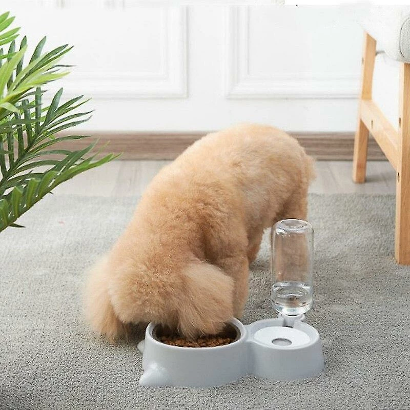 Unbranded Pet Cat And Dog Double Bowl Anti Étouffement Acier Inoxydable Eau Potable Automatique 2 Unbranded Pet Cat And Dog Double Bowl Anti Étouffement Acier Inoxydable Eau Potable Automatique – Image 2