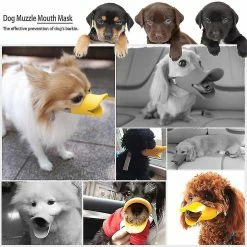 Qian Silicone Pet Dog Muzzle Mouth Mask No Barking Anti-bite Masques Dog Accessories -nourriture pour chien boutique 211019252 max