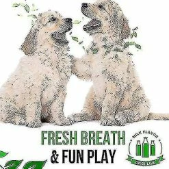 Brosse à Dents Qian Dog, Jouets De Nettoyage De Dents Cadeaux à Mâcher, éliminer En Toute Sécurité La Mauvaise Haleine (18cm) -nourriture pour chien boutique 211019321 max