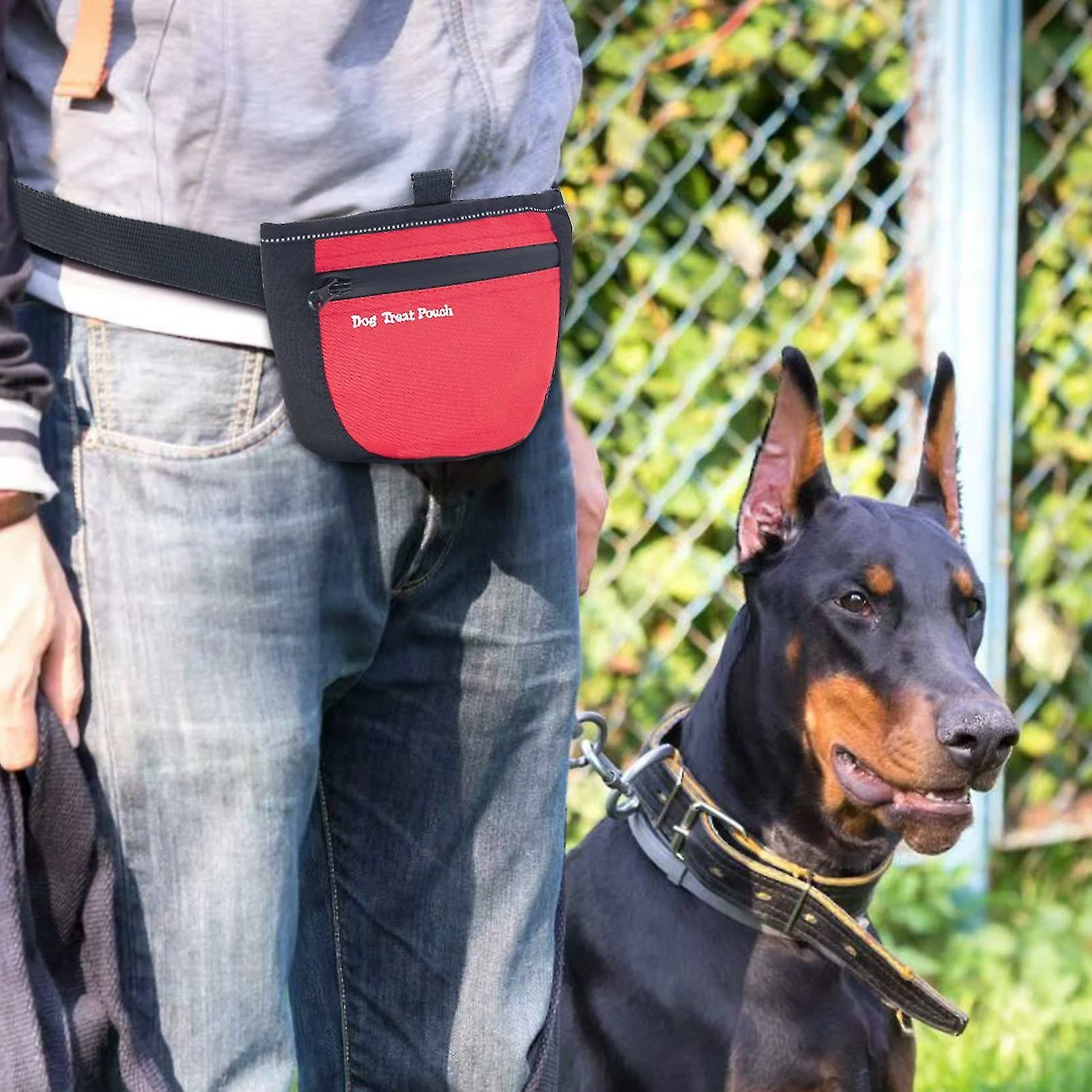 TIANREN Dog Training Treat Pouch Bag Pet Puppy Treat Snack Bags Dog Treat Carrier Bait Walking Bag 3 TIANREN Dog Training Treat Pouch Bag Pet Puppy Treat Snack Bags Dog Treat Carrier Bait Walking Bag – Image 3