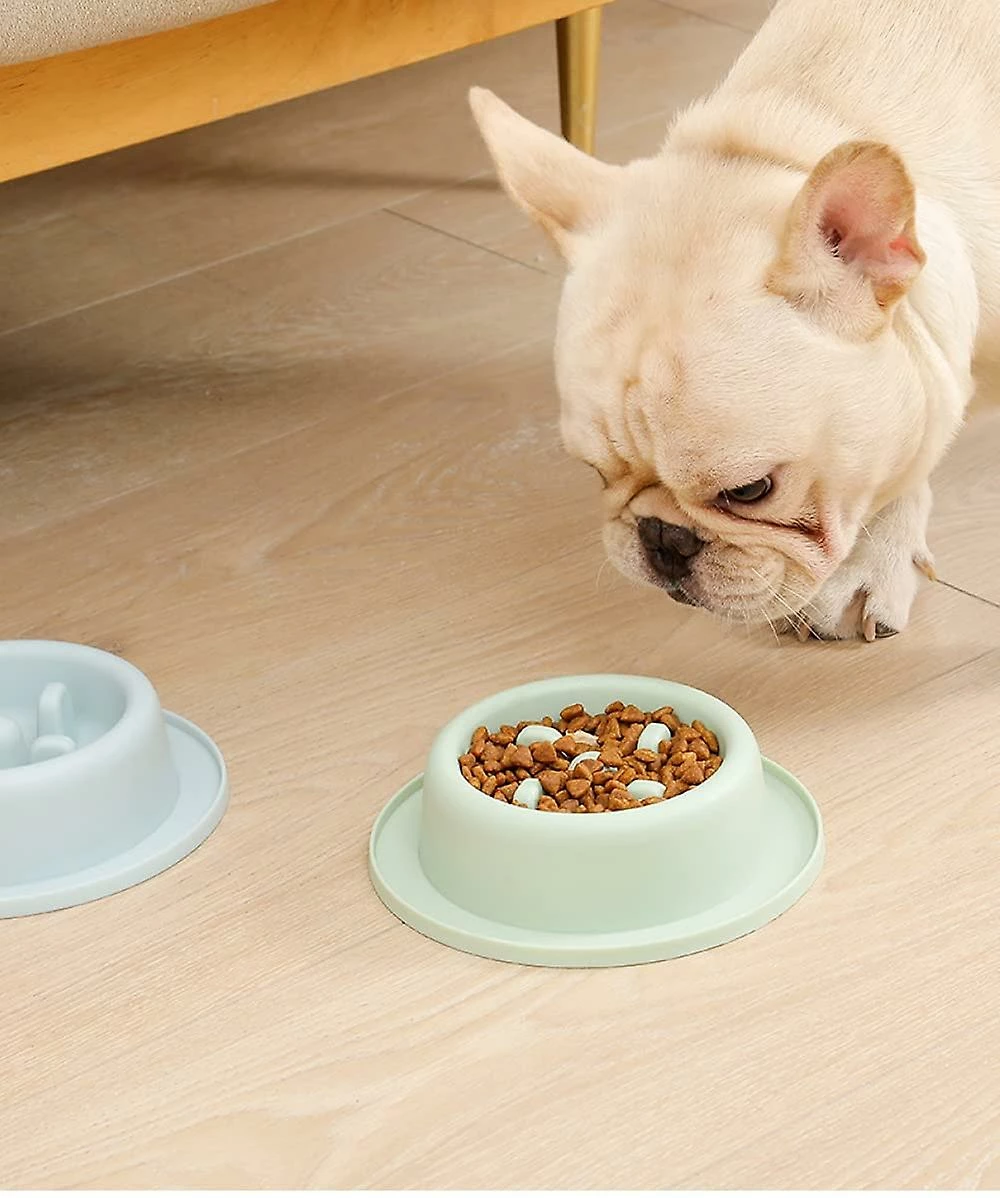 Tinor Dog Slow Feeder Bowl, Anti Slip Puzzle Bowl - Anti-gulping Pet Slower Food Feeding Dishes - Durable Preventing Choking Healthy Design Bowlgreen 3 Tinor Dog Slow Feeder Bowl, Anti Slip Puzzle Bowl - Anti-gulping Pet Slower Food Feeding Dishes - Durable Preventing Choking Healthy Design Bowlgreen – Image 3