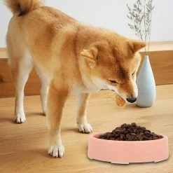Tinor Slow Feeder Dog Bowlsslow Feeder Small Dog Bowls Anti-slip Puzzle Bowl Feeder Interactive Bloat Stop Dog Bowl Anti-choking Dog Bowlpink 9 Tinor Slow Feeder Dog Bowlsslow Feeder Small Dog Bowls Anti-slip Puzzle Bowl Feeder Interactive Bloat Stop Dog Bowl Anti-choking Dog Bowlpink -nourriture pour chien boutique 229163796 max