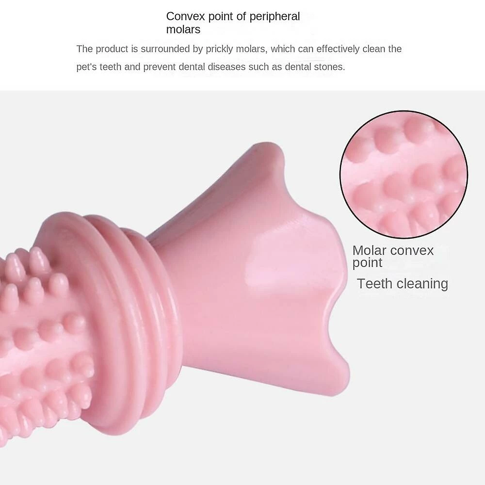Unbranded Dog Tpr Jouet De Dentition, Dressage Candy Toy Teething Stick Brosse à Dents 5 Unbranded Dog Tpr Jouet De Dentition, Dressage Candy Toy Teething Stick Brosse à Dents – Image 5