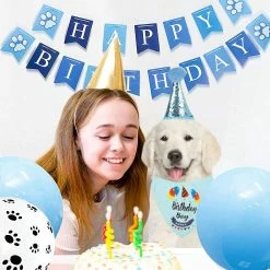 Ssdlv Dog Birthday Party Supplies Dog Birthday Bandana Hat Set Party Accessories (bleu) -nourriture pour chien boutique 253797457 max
