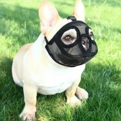 Wonderful Fong Fong Museau Court Museau De Chien Museau Bulldog Museau, Stop Dog Pour Mordre Aboyer Mâcher, Bouche Courte Réglable Chien Anti-morsure Masque Anti-manger Pet Supplie -nourriture pour chien boutique 258647973 max