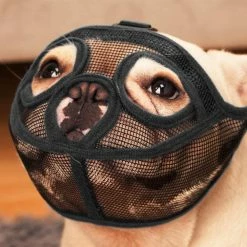 Wonderful Fong Fong Museau Court Museau De Chien Museau Bulldog Museau, Stop Dog Pour Mordre Aboyer Mâcher, Bouche Courte Réglable Chien Anti-morsure Masque Anti-manger Pet Supplie -nourriture pour chien boutique 258648014 max