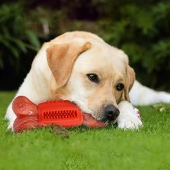 Unbranded Tough Dog Toys Extreme Chew Toys Indestructible Pour Chiens Jouet Interactif à Mâcher -nourriture pour chien boutique 259361169 max