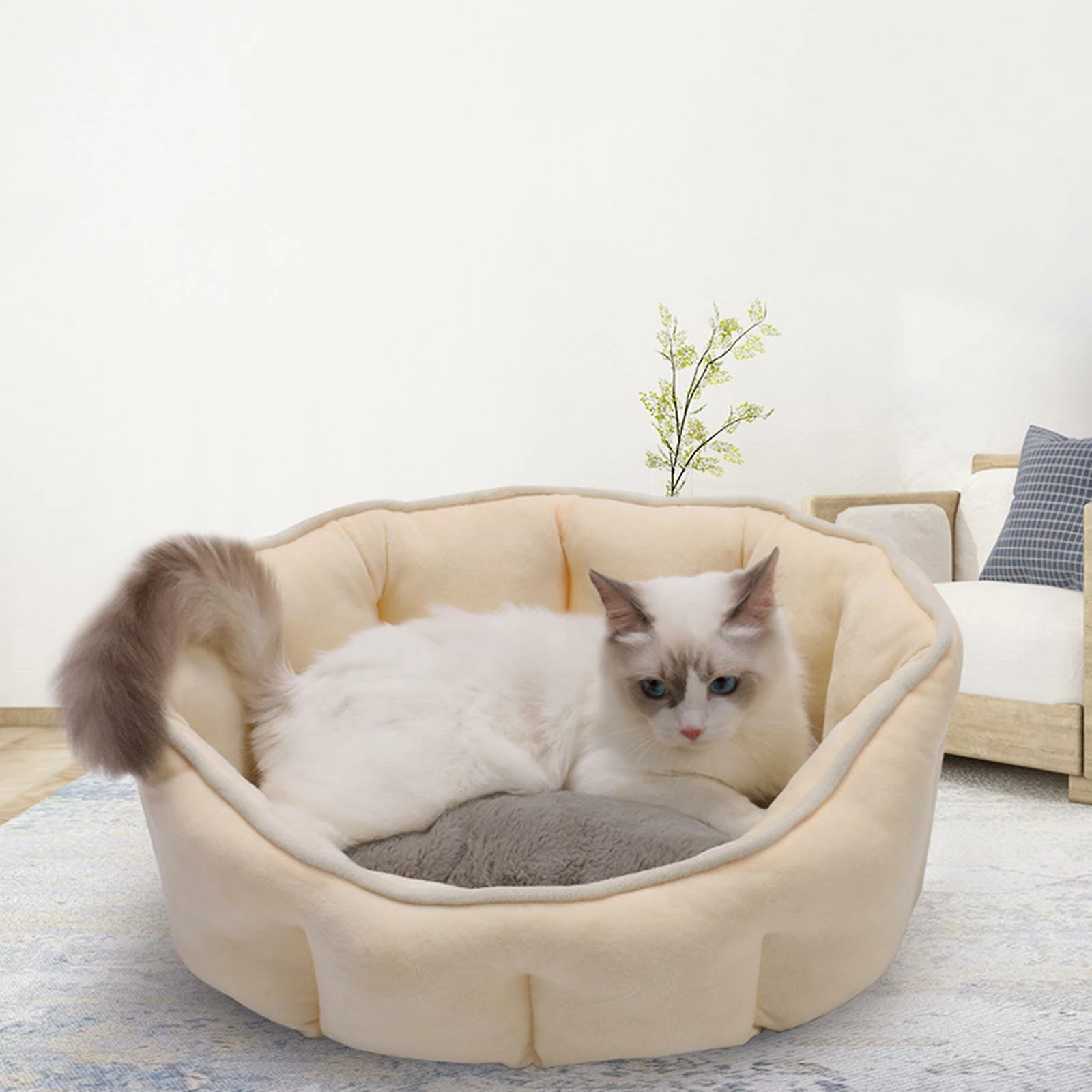 Unbranded Forme De Coquille Soft Pet Dog Cat Bed Kennel Sofa Cushion Pad Tapis De Couchage Pour Petits Chiens Moyens 3 Unbranded Forme De Coquille Soft Pet Dog Cat Bed Kennel Sofa Cushion Pad Tapis De Couchage Pour Petits Chiens Moyens – Image 3