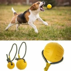 Unbranded Pet Dog Training Toy Ball Dog Rubber Ball Chew Jouet Résistant Avec Corde -nourriture pour chien boutique 259364076 max