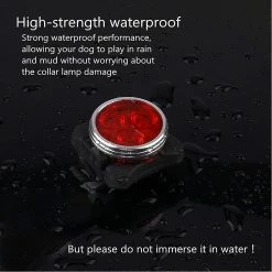 Wtake Collier De Chien Lumière Led Pet Clip-on Light Up Dog Collier Clignotant Lumière Chat Glowing Tag Chiens Walking Safety Lights For Dark Night Flash Pendentif Usb Chargi -nourriture pour chien boutique 271876324 max