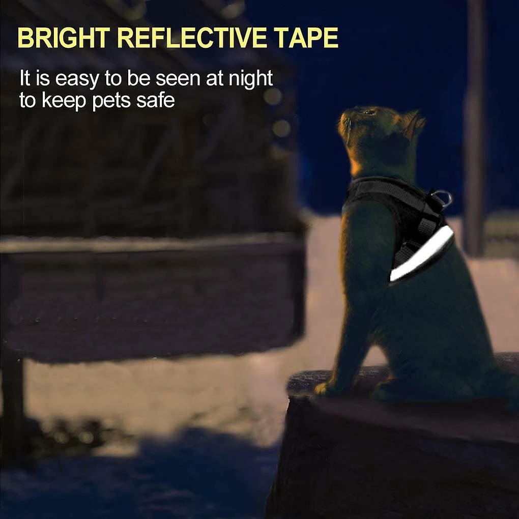 Wonderful Fong Dog Harness And Leash Set Pour Marcher Chat Et Petit Chien Harnais Soft Mesh Puppy Harnais Réglable Cat Vest Harness Avec Sangle Réfléchissante Confort 3 Wonderful Fong Dog Harness And Leash Set Pour Marcher Chat Et Petit Chien Harnais Soft Mesh Puppy Harnais Réglable Cat Vest Harness Avec Sangle Réfléchissante Confort – Image 3