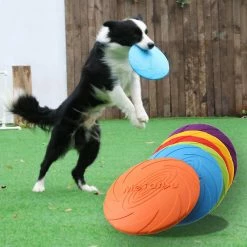 Mslam 6pc Pet Ufo Toys Small Medium Large Dog Flying Discs Trainning Jouet Interactif Puppy Rubber Fetch Flying Disc -nourriture pour chien boutique 281386110 max
