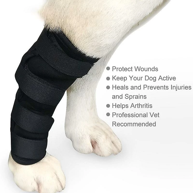 Pet Leash Dog Hock Brace Sleeve Pet Support Compression Leg Joint Wrap Protector Un Soutien Supplémentaire Réduit La Douleur Et L’inflammation 2 Pet Leash Dog Hock Brace Sleeve Pet Support Compression Leg Joint Wrap Protector Un Soutien Supplémentaire Réduit La Douleur Et L’inflammation – Image 2