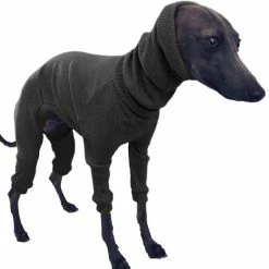 Antemall Manteau De Chien D’hiver Veste Tight Dog Hoodie Dog Pull Pull Pour Greyhou -nourriture pour chien boutique 284401159 max