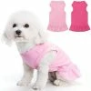 Yskaze 2 Pack Blank Dog Shirt Skirt - Vêtements Mignons Doux Respirants Pour Animaux De Compagnie, Robe Sans Manches Pour Filles, T-shirts Pour Chiens Vêtements, Tenues Pour Chiens, Chemise De Chien Unie Pour Pu