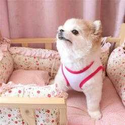 Yskaze Chemises Pour Chiens Chemises Pour Animaux De Compagnie T-shirt Pour Chiens Puppy Dog T Shirt Puppy Vest Puppy Vêtements Pour Petits Chiens Doggie Tee Vêtements D’été Femelle D -nourriture pour chien boutique 284659728 max