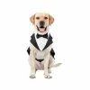 CDM Costume Pour Chien Et Bandana, Chiens Tuxedo Wedding Party Suit, Dog Prince Wedding Bow Tie Shirt Formel Pour Les Chiens Grands Et Moyens