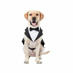 CDM Costume Pour Chien Et Bandana, Chiens Tuxedo Wedding Party Suit, Dog Prince Wedding Bow Tie Shirt Formel Pour Les Chiens Grands Et Moyens