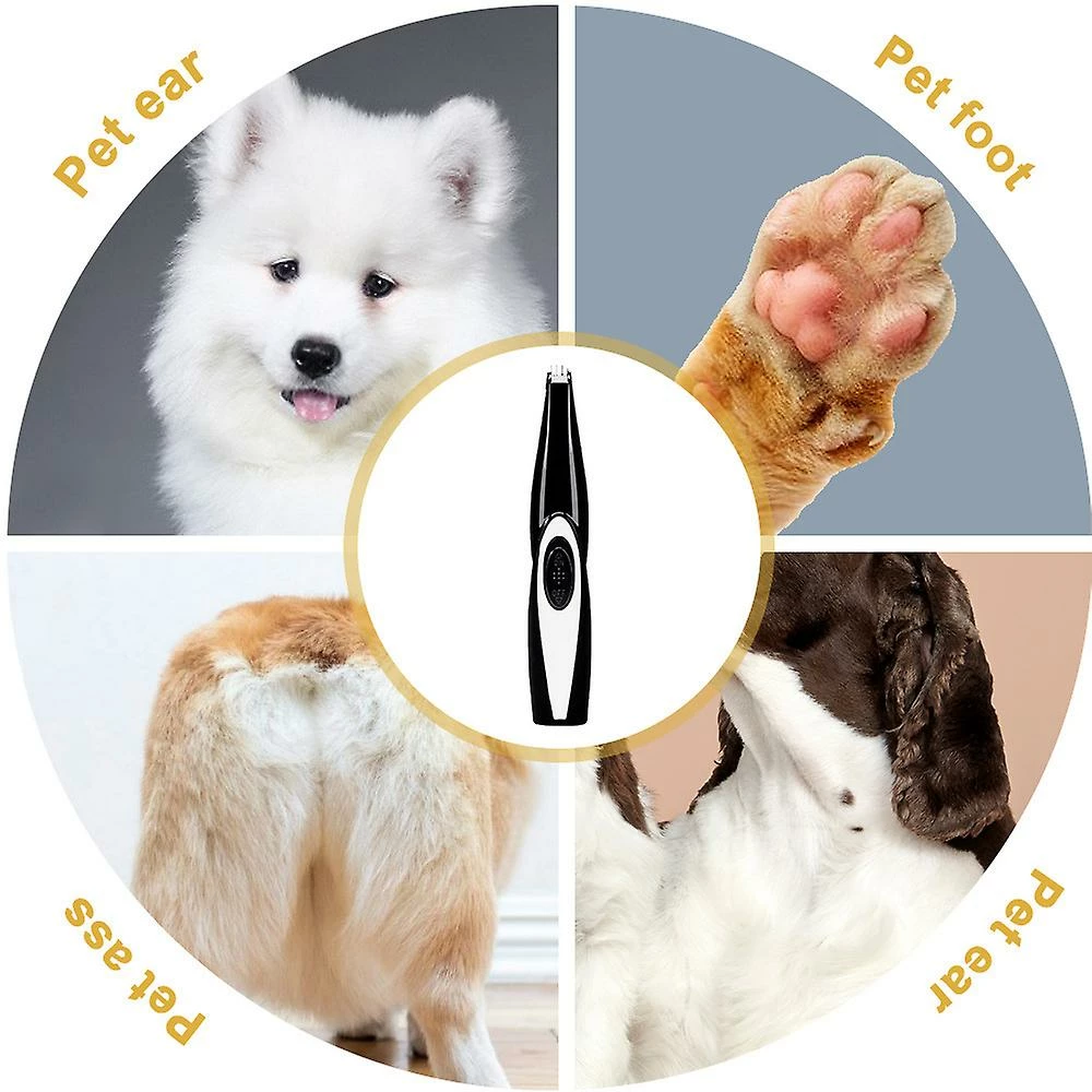 Tiny-witch Tondeuses Pour Chiens Professionnel Pet Foot Hair Trimmer Dog Growth Scissors Usb Rechargeable Butt Ear Eye Hair Clipper 3 Tiny-witch Tondeuses Pour Chiens Professionnel Pet Foot Hair Trimmer Dog Growth Scissors Usb Rechargeable Butt Ear Eye Hair Clipper – Image 3