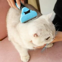 Unbranded Pet Cat Dog Peign Brush Professional Hair Remover Cat Brush Pet Grooming Products Pet Trimmer Redmite -nourriture pour chien boutique 304005587 max