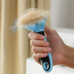 Unbranded Pet Cat Dog Peign Brush Professional Hair Remover Cat Brush Pet Grooming Products Pet Trimmer Redmite -nourriture pour chien boutique 304005603 max