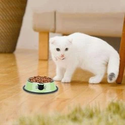 Wonderful Fong 3pcs Pet Bowl En Acier Inoxydable Base Antidérapante Dog Bowl Cat Bowl Avec 2 Cuillères à Nourriture -nourriture pour chien boutique 309263168 max