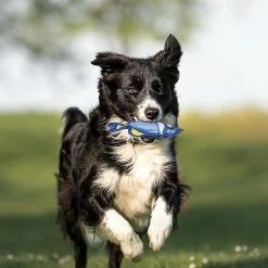 Unbranded 2023 - Nouveau Produit Dog Toy Dog Chew Toy Vocal Interactive Toy Ball Red Striped Fish + Blue Ocean Fish -nourriture pour chien boutique 311458261 max