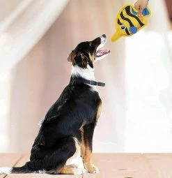 Unbranded 2023 - Nouveau Produit Dog Toy Dog Chew Toy Vocal Interactive Toy Ball Red Striped Fish + Blue Ocean Fish -nourriture pour chien boutique 311458285 max