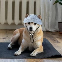 Visvin 2 Pcs Pet Baseball Outdoor Cap Réglable Summer Pet Cap Dog Outdoor Sunbonnet 7 Visvin 2 Pcs Pet Baseball Outdoor Cap Réglable Summer Pet Cap Dog Outdoor Sunbonnet -nourriture pour chien boutique 311923495 max