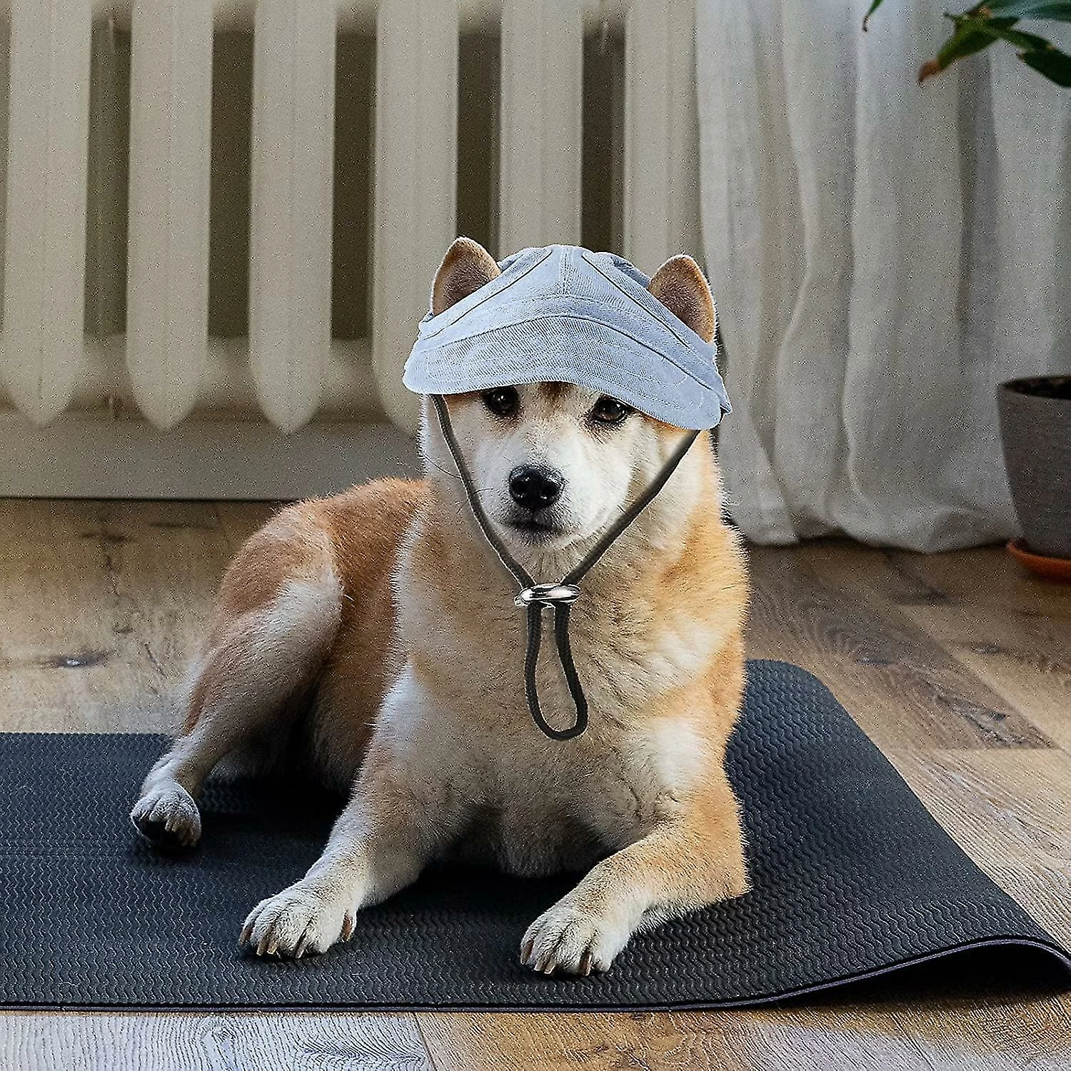 Visvin 2 Pcs Pet Baseball Outdoor Cap Réglable Summer Pet Cap Dog Outdoor Sunbonnet 3 Visvin 2 Pcs Pet Baseball Outdoor Cap Réglable Summer Pet Cap Dog Outdoor Sunbonnet – Image 3