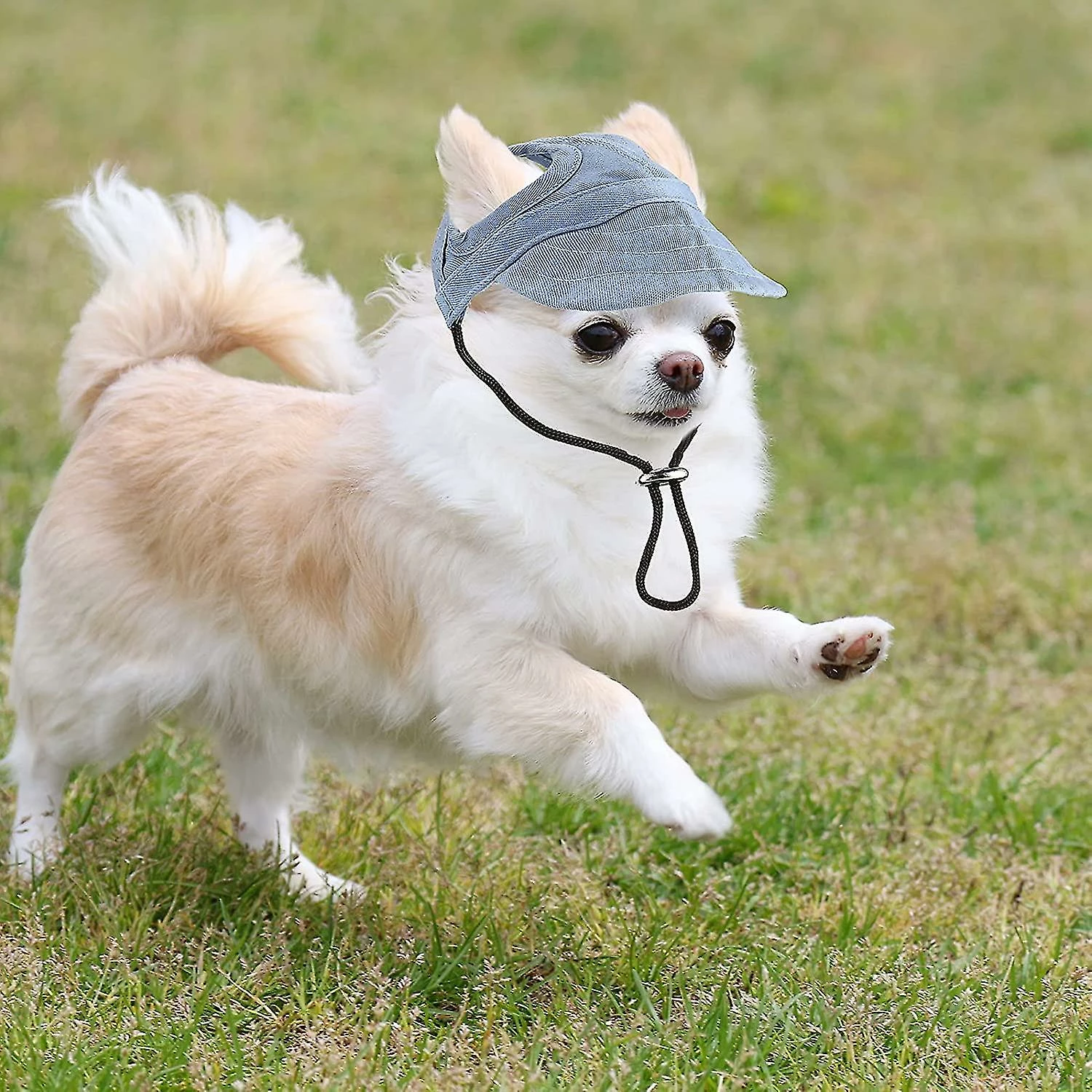 Visvin 2 Pcs Pet Baseball Outdoor Cap Réglable Summer Pet Cap Dog Outdoor Sunbonnet 5 Visvin 2 Pcs Pet Baseball Outdoor Cap Réglable Summer Pet Cap Dog Outdoor Sunbonnet – Image 5