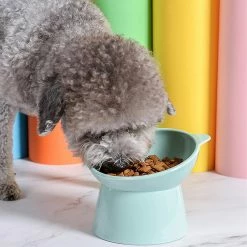 Sevenprin Pet Puppy High Foot Food Bowl Distributeur Cat Dog Water Food Container -nourriture pour chien boutique 311937835 max