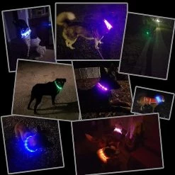 Unbranded Led Light Dog Collier Usb Rechargeable - Longueur Réglable Collier De Sécurité Pour Chiens Et Chats - 3 Mo -nourriture pour chien boutique 312865369 max