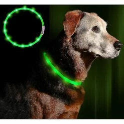 Unbranded Led Light Dog Collier Usb Rechargeable - Longueur Réglable Collier De Sécurité Pour Chiens Et Chats - 3 Mo -nourriture pour chien boutique 312866080 max