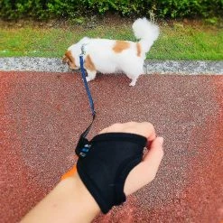 Sajygv Sajy Dog Leash Reflective Comfortable Grip Sangle De Traction Télescopique Pour Chiens Bleu 6 Sajygv Sajy Dog Leash Reflective Comfortable Grip Sangle De Traction Télescopique Pour Chiens Bleu -nourriture pour chien boutique 316373095 max