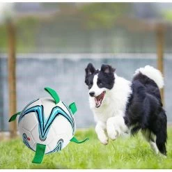 Unbranded Dog Soccer Ball Jouets Interactifs Pour Chiens -nourriture pour chien boutique 316899261 max