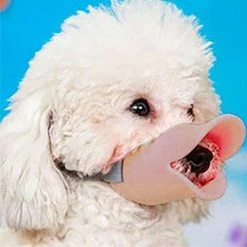 Yskaze Anti Morsure Canard Forme De Bouche Chien Housses De Bouche Anti-appelé Masques De Museau Pet Mouth Set Bite-proof Pet Dog Mouth Cover Silicone Mask Dog Duck Mouth Cover A -nourriture pour chien boutique 317186188 max
