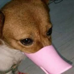 Yskaze Anti Morsure Canard Forme De Bouche Chien Housses De Bouche Anti-appelé Masques De Museau Pet Mouth Set Bite-proof Pet Dog Mouth Cover Silicone Mask Dog Duck Mouth Cover A -nourriture pour chien boutique 317186215 max