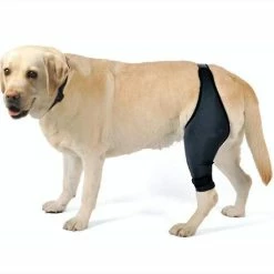 Unbranded Mimigo Dog Knee Brace Pour Le Lacet, La Luxation De La Rotule, L’arthrite - Garde L’articulation Au Chaud - Soutien Supplémentaire - Réduit La Douleur Et L’inflammation