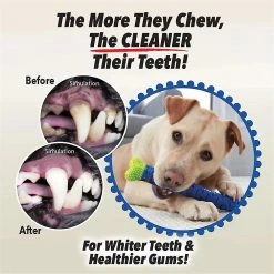 DEWENWILS Dww-dog Nettoyage Des Dents Molar Stick Pet Molar Toy Chew Brosses