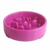 Unbranded Slow Feeder Dog Bowl, Chien Pet Slow Feeder, Fun Feeder (Violet)
