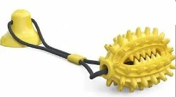 Unbranded Pet Dog Toy Brosse à Dents Mâcher Jouet Pour Chiens Petits Gros Jouets Chiots Jouets Ventouses (vert) 5 Unbranded Pet Dog Toy Brosse à Dents Mâcher Jouet Pour Chiens Petits Gros Jouets Chiots Jouets Ventouses (vert) -nourriture pour chien boutique 318430446 max