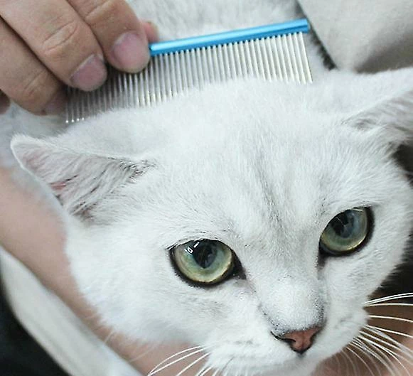 Unbranded Pet Dog Comb Sleek Pointed Tail Design Grooming Comb Pour Chat Hirsute Chiens Barber Outil De Toilettage (bleu) 5 Unbranded Pet Dog Comb Sleek Pointed Tail Design Grooming Comb Pour Chat Hirsute Chiens Barber Outil De Toilettage (bleu) – Image 5