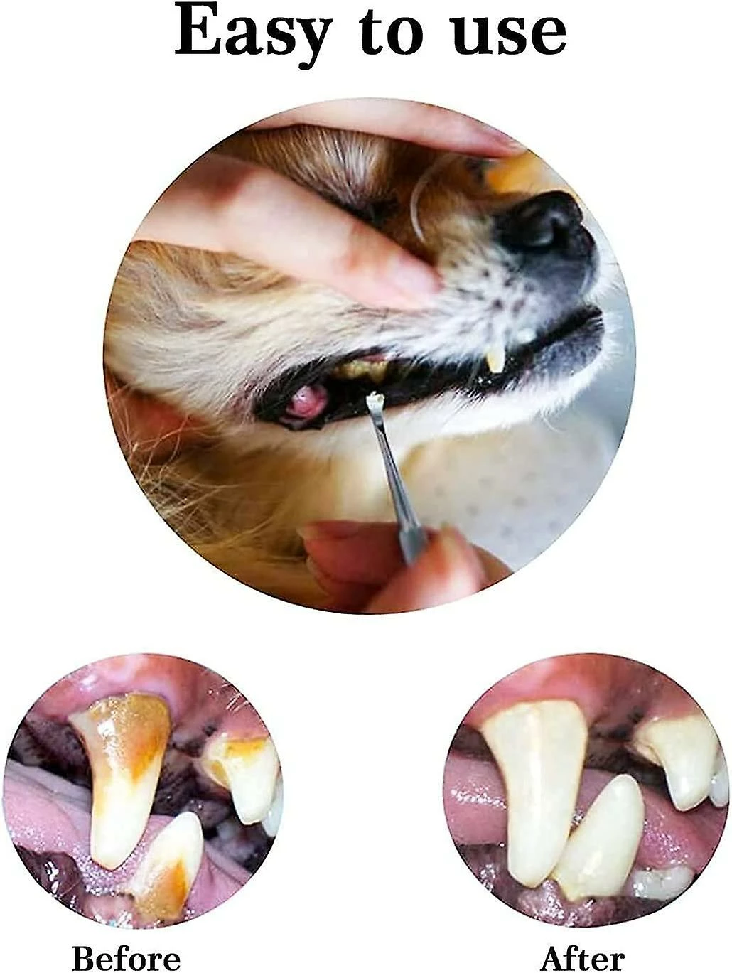 Piao Pcs Dog Teeth Cleaner And Scraper Acier Inoxydable Double Ended Tooth Grinder Scraper Pet Teeth Cleaning Tool For Dogs And Cats (argent) 3 Piao Pcs Dog Teeth Cleaner And Scraper Acier Inoxydable Double Ended Tooth Grinder Scraper Pet Teeth Cleaning Tool For Dogs And Cats (argent) – Image 3