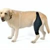 Unbranded Mimigo Dog Knee Brace Pour Le Lacet, La Luxation De La Rotule, L’arthrite - Garde L’articulation Au Chaud - Soutien Supplémentaire - Réduit La Douleur Et L’inflammation
