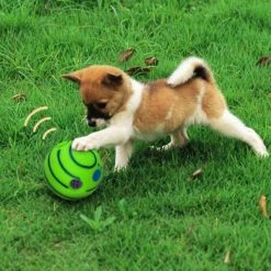 Piao Lovely Dog Toy Dog Game Ball Toy Avec Funny Sound Wag Squeaker Ball -nourriture pour chien boutique 355629106 max