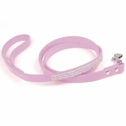Yskaze Dog Leash - Laisse Pour Chien Pour Chiens / Chats De Taille Moyenne S’entraînant à Marcher Et à Courir